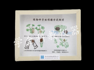 植物種子傳播方式標(biāo)本